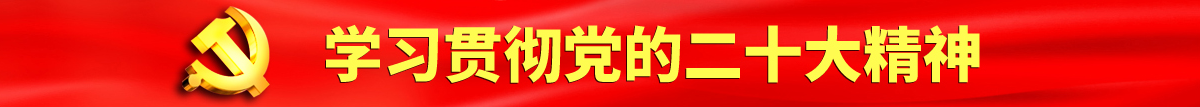 日逼黄大认真学习贯彻落实党的二十大会议精神